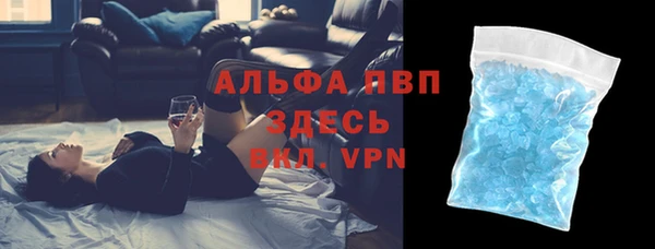 крисы Баксан