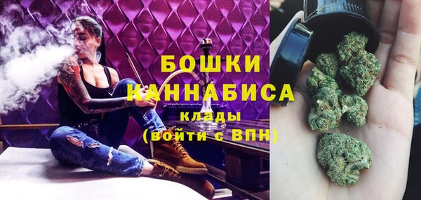 крисы Баксан