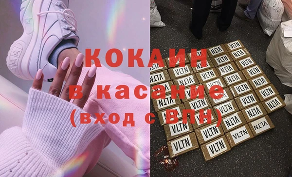 крисы Баксан