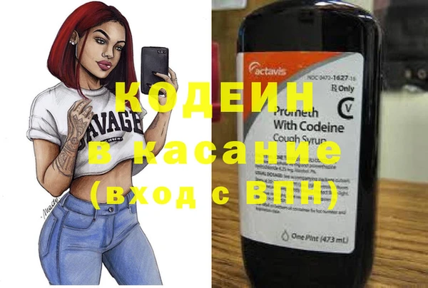 крисы Баксан