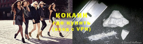 крисы Баксан