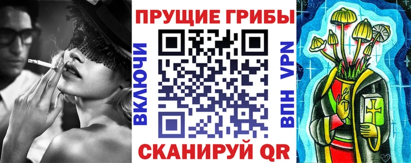 магазин продажи наркотиков  shop официальный сайт  Псилоцибиновые грибы мицелий  Вилючинск 